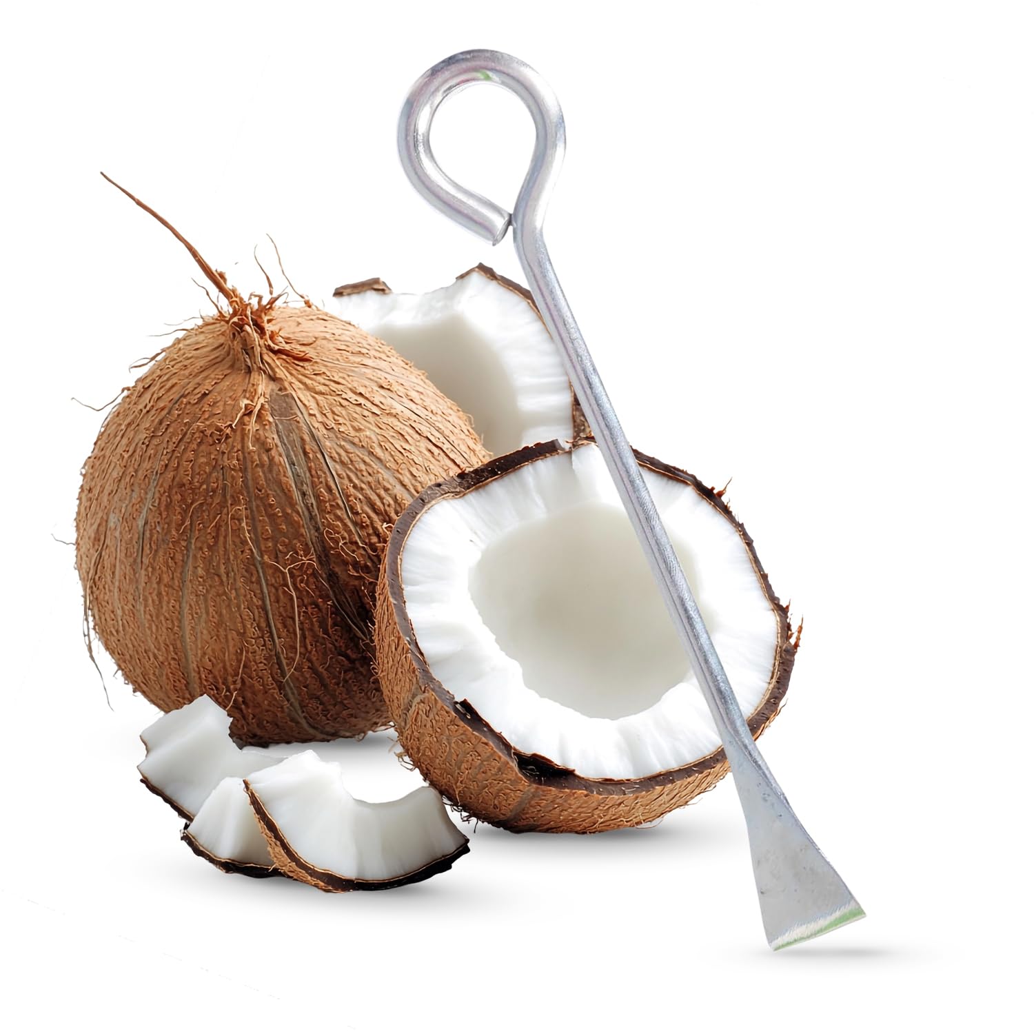 Stainless Steel Coconut Slicer Cutter Tool for Kitchen (Pack of 1)