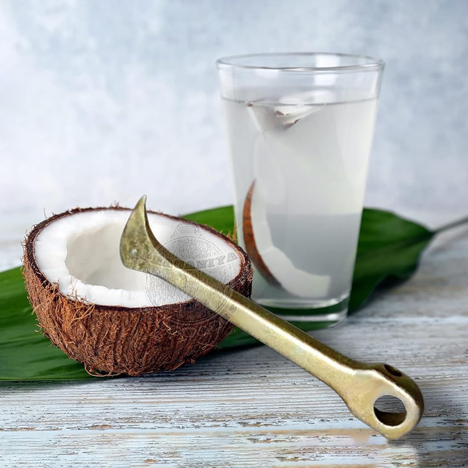 Coconut Heavy Duty Breaker Peeler Slicer Opener Cutter Tool for Kitchen