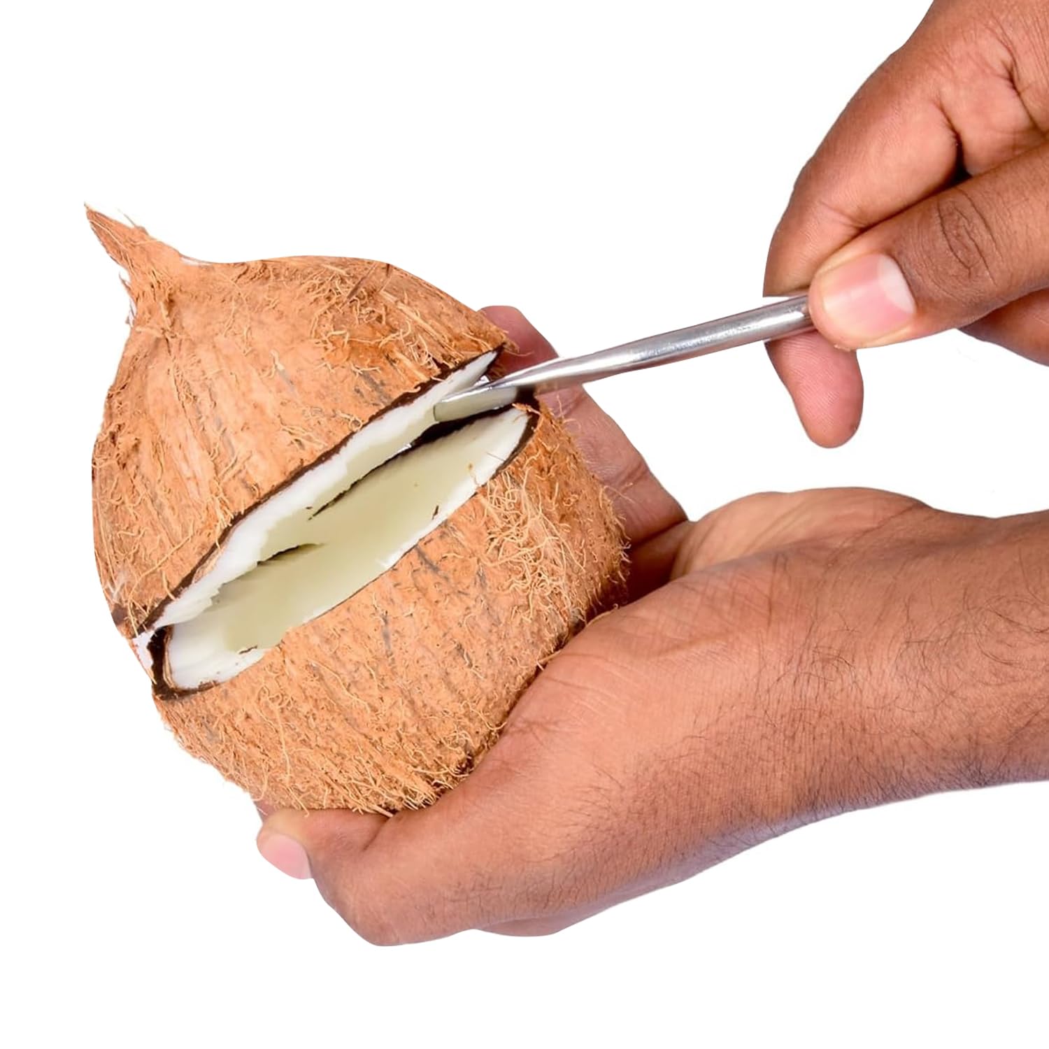 Stainless Steel Coconut Slicer Cutter Tool for Kitchen (Pack of 1)