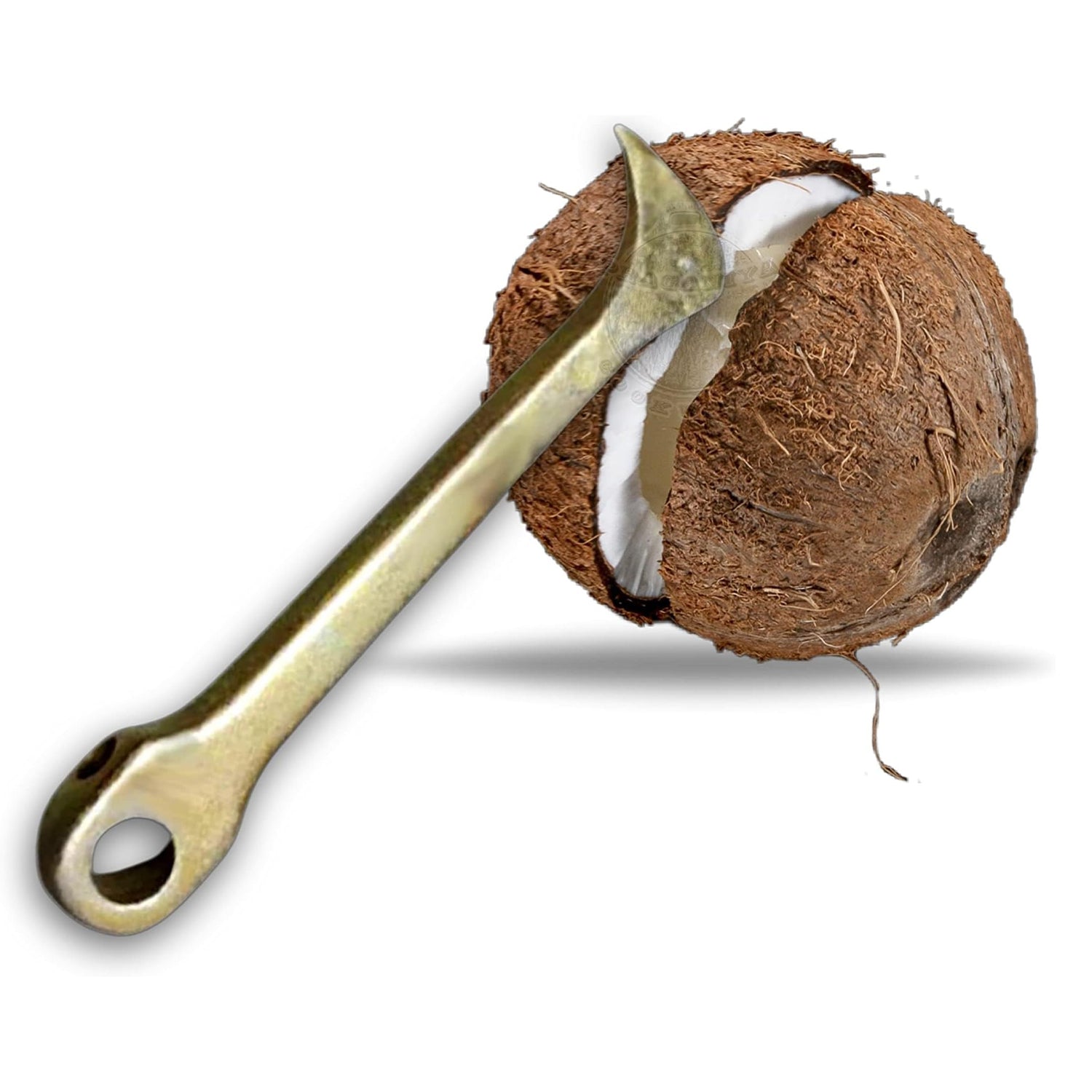 Coconut Heavy Duty Breaker Peeler Slicer Opener Cutter Tool for Kitchen